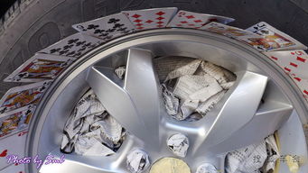 s6爆改炫色輪轂與車用床墊升級，生物技術開發服務的跨界融合